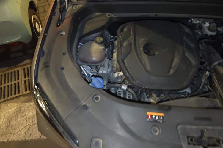Used Geely Auto Monjaro L 2021 2.0TD High-Power Automatic All-Wheel Drive Luxury Version Engine Bay Right