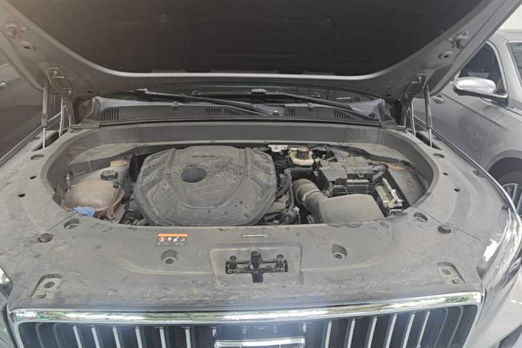 Used Geely Auto Monjaro L 2021 2.0TD DCT EVO Two-Wheel Drive Smart Luxury Version Engine Bay