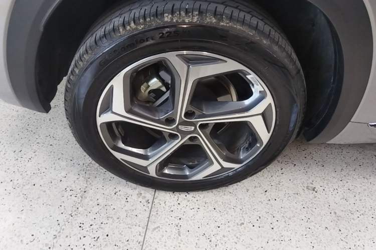 Used Geely Auto Monjaro L 2021 2.0TD DCT EVO Two-Wheel Drive Prestige Version Exterior 5