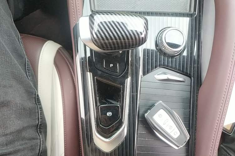 Used Geely Auto Monjaro L 2021 2.0TD DCT EVO Two-Wheel Drive Smart Luxury Version Gear Lever