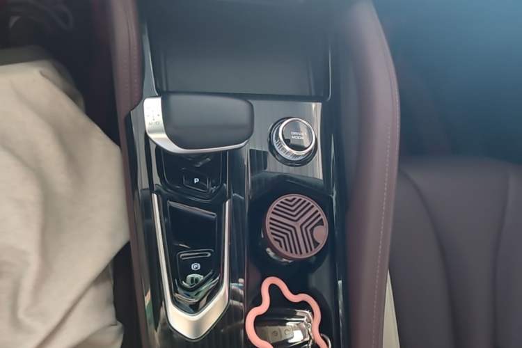 Used Geely Auto Monjaro L 2021 2.0TD DCT EVO Two-Wheel Drive Prestige Version Gear Lever