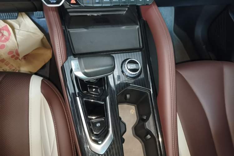 Used Geely Auto Monjaro L 2021 2.0TD DCT EVO Two-Wheel-Drive Flagship Version Gear Lever