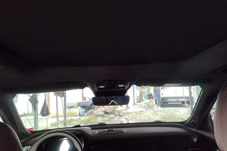 Used Geely Auto Monjaro L 2021 2.0TD DCT EVO Two-Wheel Drive Prestige Version Headliner