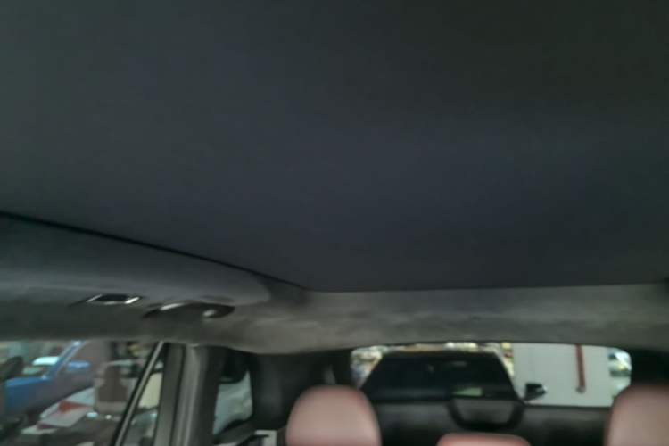 Used Geely Auto Monjaro L 2021 2.0TD DCT EVO Two-Wheel-Drive Flagship Version Headliner