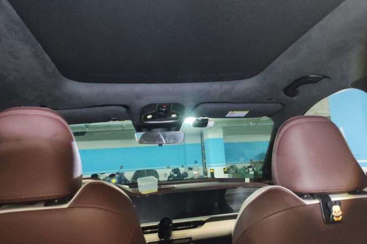 Used Geely Auto Monjaro L 2021 2.0TD DCT EVO Two-Wheel Drive Prestige Version Headliner