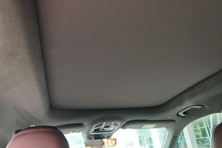 Used Geely Auto Monjaro L 2021 2.0TD DCT EVO Two-Wheel Drive Prestige Version Headliner