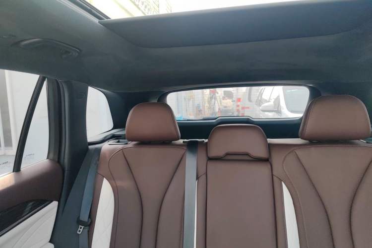 Used Geely Auto Monjaro L 2021 2.0TD DCT EVO Two-Wheel Drive Prestige Version Headliner