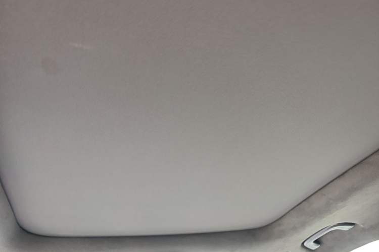 Used Geely Auto Monjaro L 2021 2.0TD DCT EVO Two-Wheel Drive Prestige Version Headliner