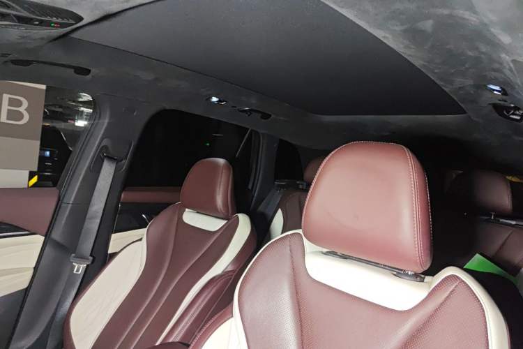Used Geely Auto Monjaro L 2021 2.0TD DCT EVO Two-Wheel-Drive Flagship Version Headliner