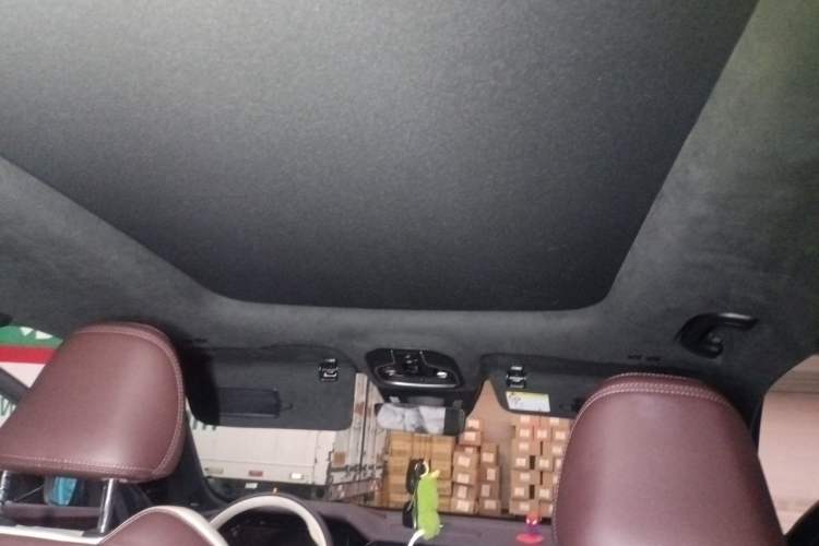 Used Geely Auto Monjaro L 2021 2.0TD DCT EVO Two-Wheel Drive Prestige Version Headliner