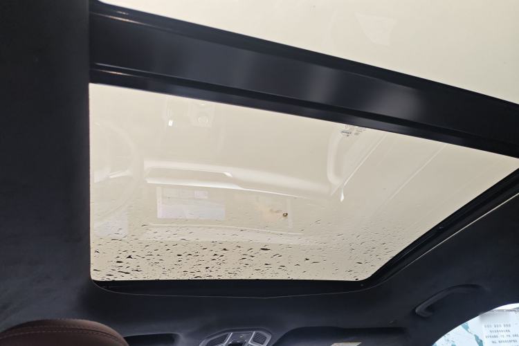 Used Geely Auto Monjaro L 2021 2.0TD DCT EVO Two-Wheel Drive Prestige Version Headliner