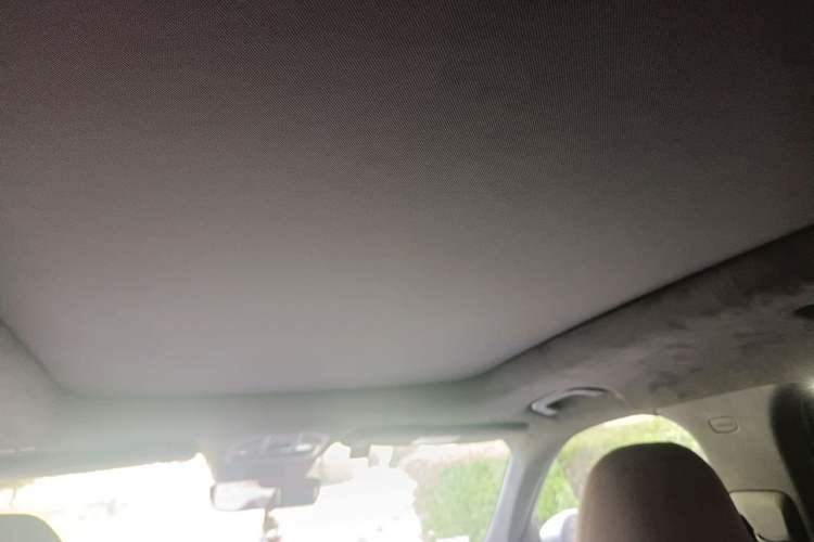 Used Geely Auto Monjaro L 2021 2.0TD DCT EVO Two-Wheel Drive Smart Luxury Version Headliner