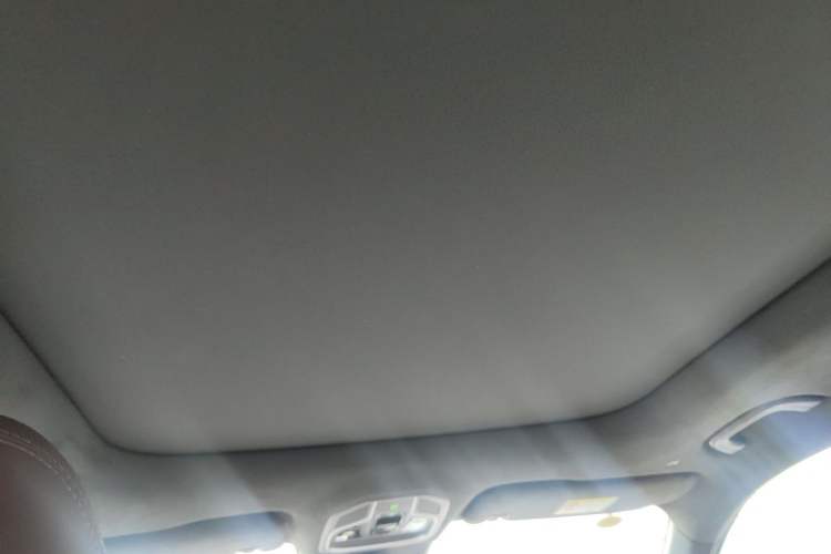 Used Geely Auto Monjaro L 2021 2.0TD DCT EVO Two-Wheel Drive Prestige Version Headliner