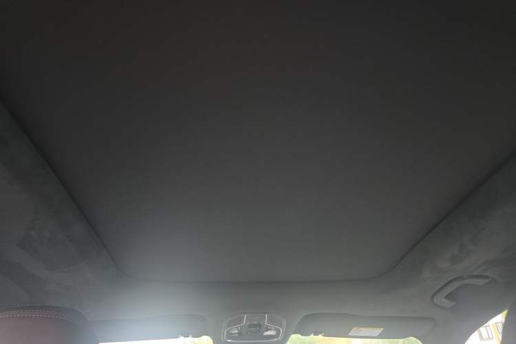 Used Geely Auto Monjaro L 2021 2.0TD DCT EVO Two-Wheel Drive Prestige Version Headliner
