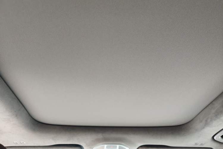 Used Geely Auto Monjaro L 2021 2.0TD High-Power Automatic All-Wheel-Drive Flagship Version Headliner
