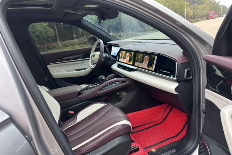 Used Geely Auto Monjaro L 2021 2.0TD DCT EVO Two-Wheel Drive Prestige Version Interior 3