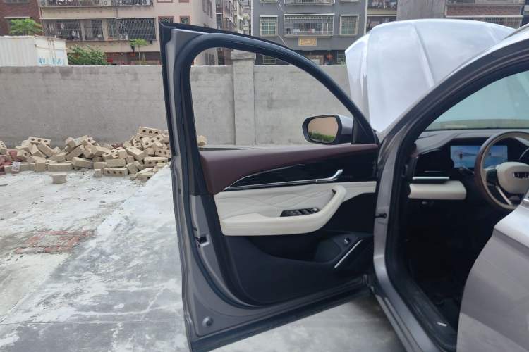 Used Geely Auto Monjaro L 2021 2.0TD DCT EVO Two-Wheel Drive Prestige Version Left Front Door Interior