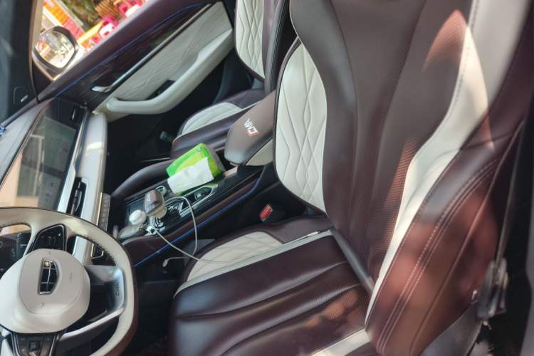 Used Geely Auto Monjaro L 2021 2.0TD DCT EVO Two-Wheel-Drive Flagship Version Left Front Seat