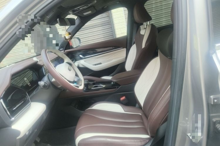 Used Geely Auto Monjaro L 2021 2.0TD DCT EVO Two-Wheel Drive Smart Luxury Version Left Front Seat
