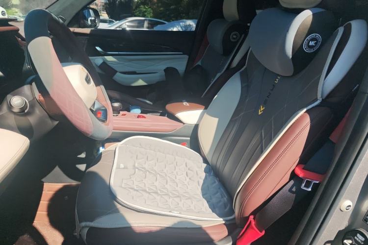 Used Geely Auto Monjaro L 2021 2.0TD High-Power Automatic All-Wheel-Drive Flagship Version Left Front Seat