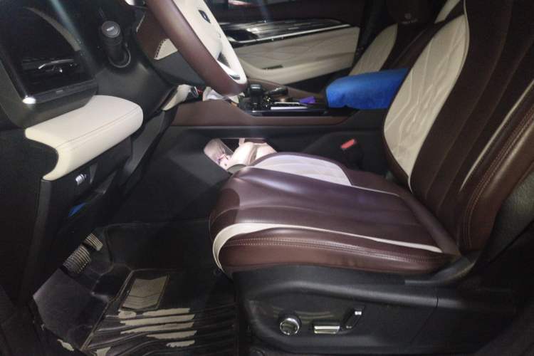 Used Geely Auto Monjaro L 2021 2.0TD High-Power Automatic All-Wheel-Drive Flagship Version Left Front Seat
