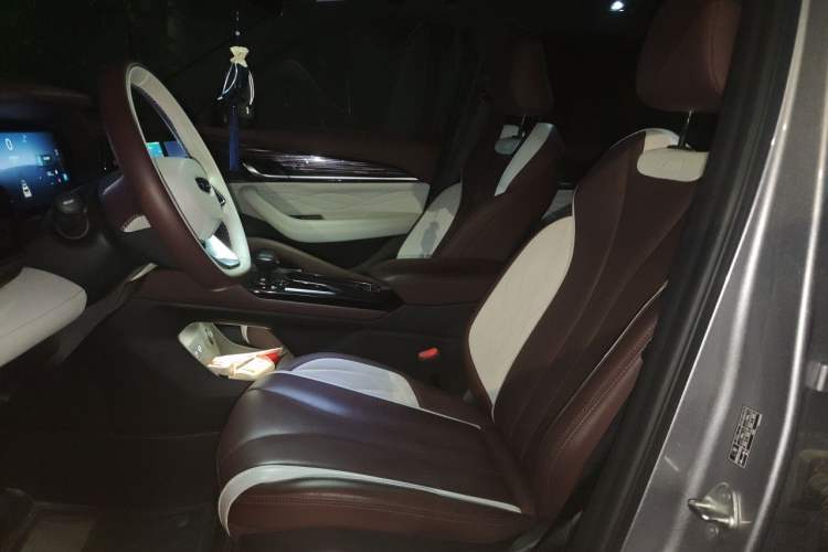 Used Geely Auto Monjaro L 2021 2.0TD DCT EVO Two-Wheel Drive Smart Luxury Version Left Front Seat