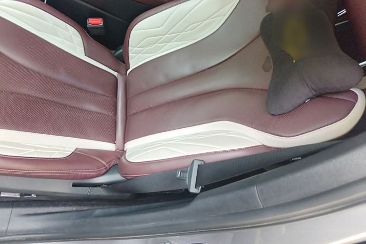 Used Geely Auto Monjaro L 2021 2.0TD High-Power Automatic All-Wheel-Drive Flagship Version Left Front Seat