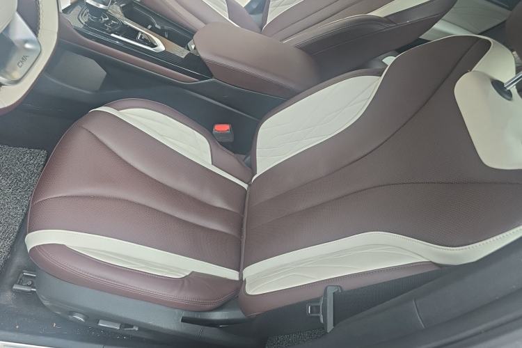 Used Geely Auto Monjaro L 2021 2.0TD DCT EVO Two-Wheel Drive Prestige Version Left Front Seat