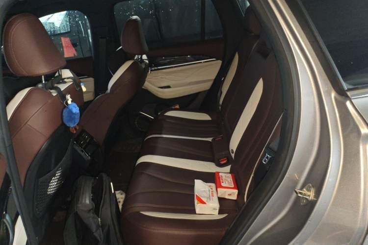 Used Geely Auto Monjaro L 2021 2.0TD DCT EVO Two-Wheel Drive Smart Luxury Version Left Rear Seat