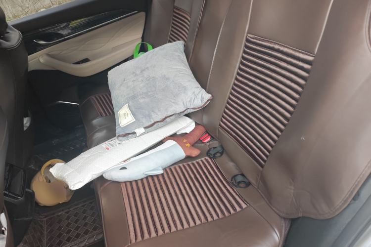 Used Geely Auto Monjaro L 2021 2.0TD DCT EVO Two-Wheel Drive Prestige Version Left Rear Seat