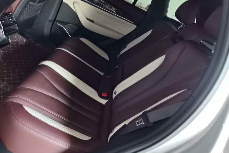 Used Geely Auto Monjaro L 2021 2.0TD DCT EVO Two-Wheel Drive Prestige Version Left Rear Seat