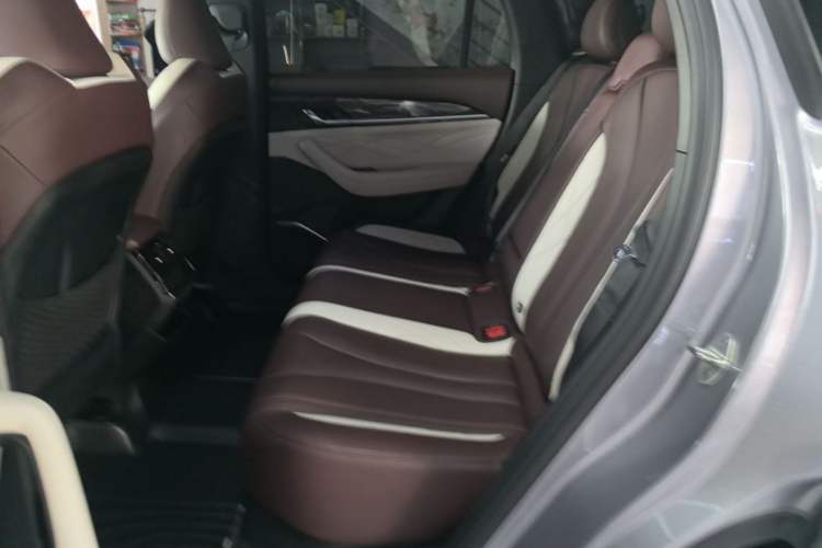 Used Geely Auto Monjaro L 2021 2.0TD DCT EVO Two-Wheel-Drive Flagship Version Left Rear Seat