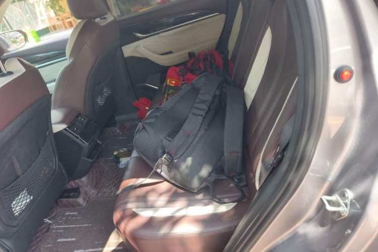 Used Geely Auto Monjaro L 2021 2.0TD DCT EVO Two-Wheel-Drive Flagship Version Left Rear Seat