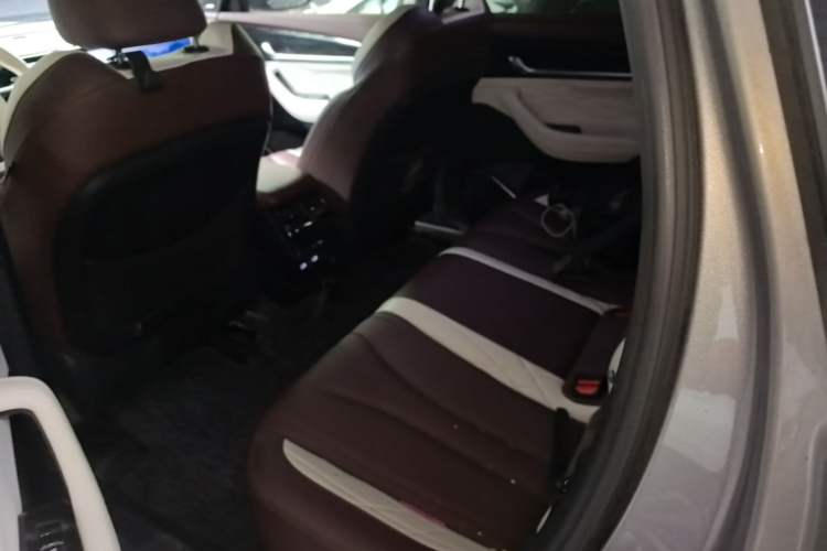 Used Geely Auto Monjaro L 2021 2.0TD DCT EVO Two-Wheel Drive Smart Luxury Version Left Rear Seat