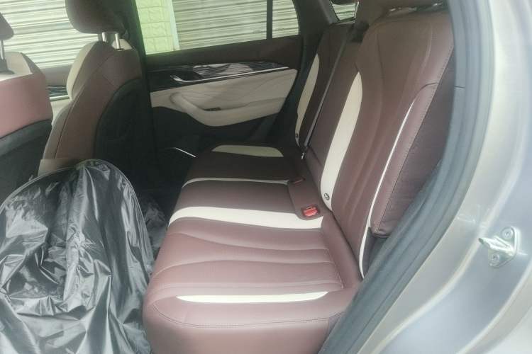 Used Geely Auto Monjaro L 2021 2.0TD DCT EVO Two-Wheel Drive Smart Luxury Version Left Rear Seat