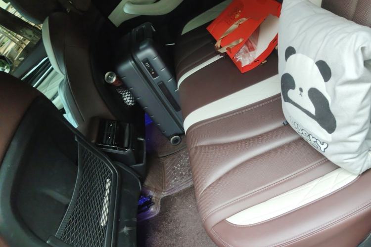Used Geely Auto Monjaro L 2021 2.0TD DCT EVO Two-Wheel Drive Prestige Version Left Rear Seat