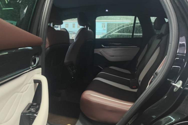 Used Geely Auto Monjaro L 2021 2.0TD DCT EVO Two-Wheel Drive Smart Luxury Version Left Rear Seat