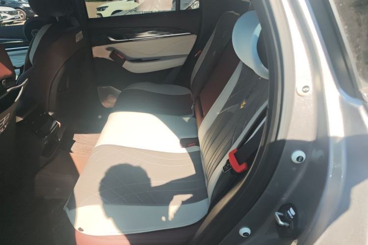 Used Geely Auto Monjaro L 2021 2.0TD High-Power Automatic All-Wheel-Drive Flagship Version Left Rear Seat