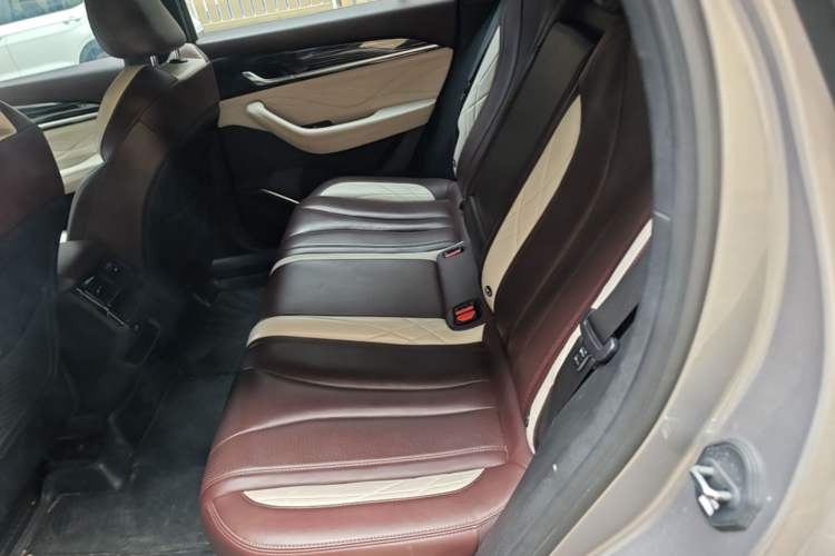 Used Geely Auto Monjaro L 2021 2.0TD DCT EVO Two-Wheel Drive Prestige Version Left Rear Seat