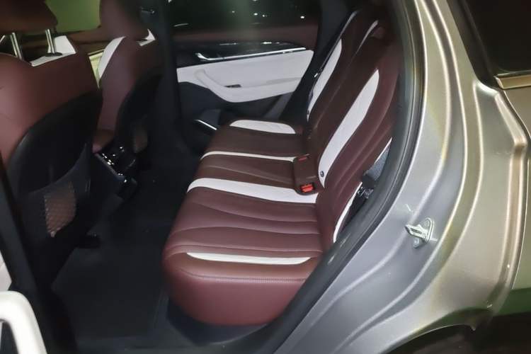 Used Geely Auto Monjaro L 2021 2.0TD DCT EVO Two-Wheel Drive Prestige Version Left Rear Seat