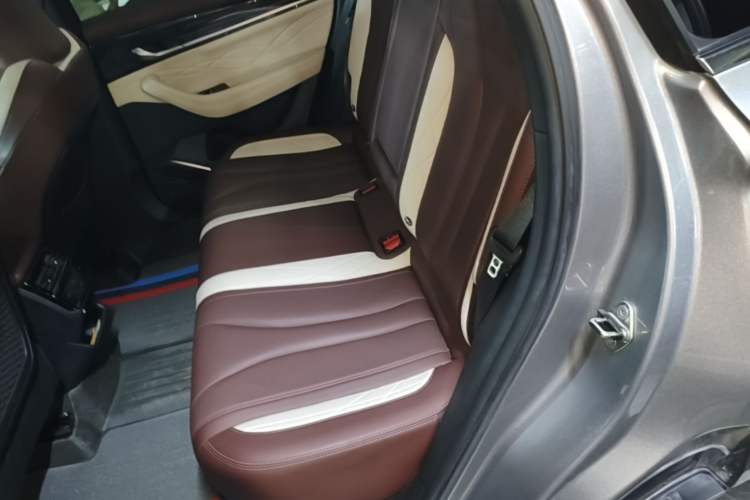 Used Geely Auto Monjaro L 2021 2.0TD DCT EVO Two-Wheel Drive Smart Luxury Version Left Rear Seat