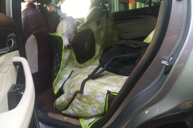 Used Geely Auto Monjaro L 2021 2.0TD High-Power Automatic All-Wheel-Drive Flagship Version Left Rear Seat