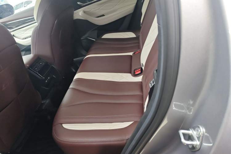Used Geely Auto Monjaro L 2021 2.0TD DCT EVO Two-Wheel Drive Prestige Version Left Rear Seat