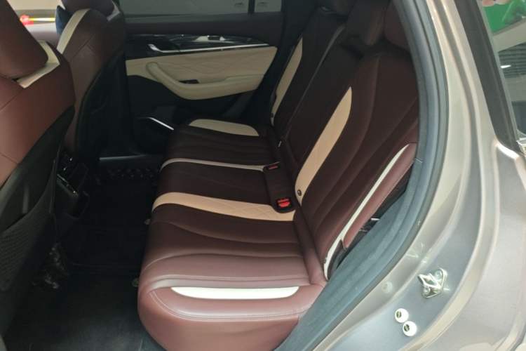 Used Geely Auto Monjaro L 2021 2.0TD DCT EVO Two-Wheel Drive Prestige Version Left Rear Seat