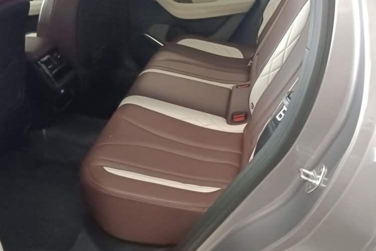 Used Geely Auto Monjaro L 2021 2.0TD High-Power Automatic All-Wheel Drive Luxury Version Left Rear Seat