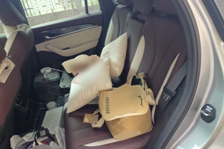 Used Geely Auto Monjaro L 2021 2.0TD DCT EVO Two-Wheel Drive Prestige Version Left Rear Seat