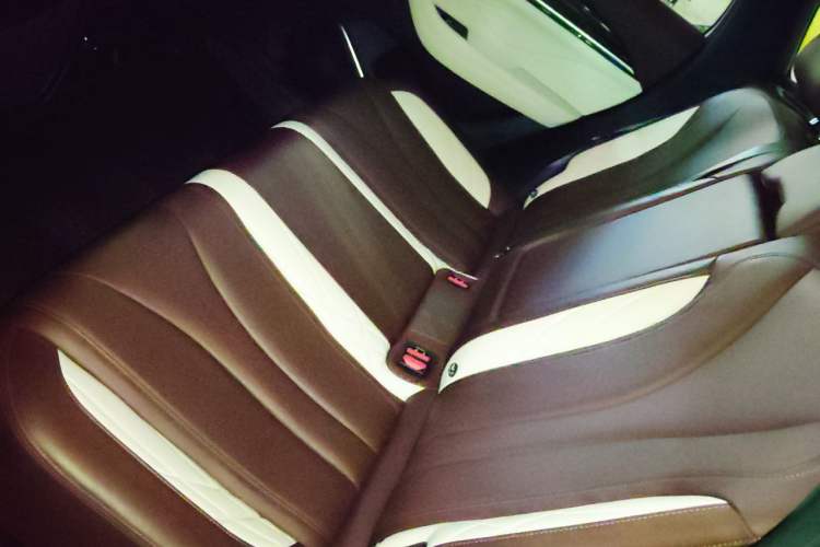 Used Geely Auto Monjaro L 2021 2.0TD DCT EVO Two-Wheel Drive Prestige Version Left Rear Seat