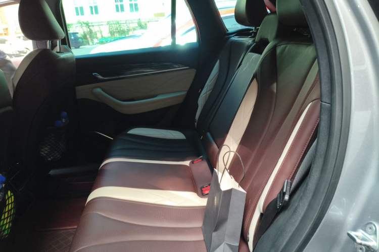 Used Geely Auto Monjaro L 2021 2.0TD DCT EVO Two-Wheel Drive Prestige Version Left Rear Seat