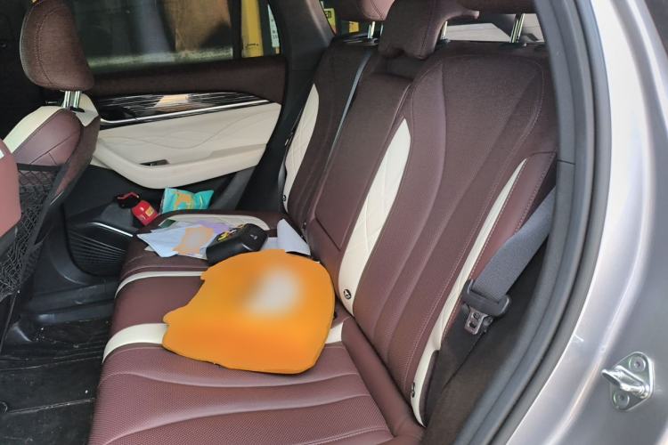 Used Geely Auto Monjaro L 2021 2.0TD DCT EVO Two-Wheel Drive Prestige Version Left Rear Seat