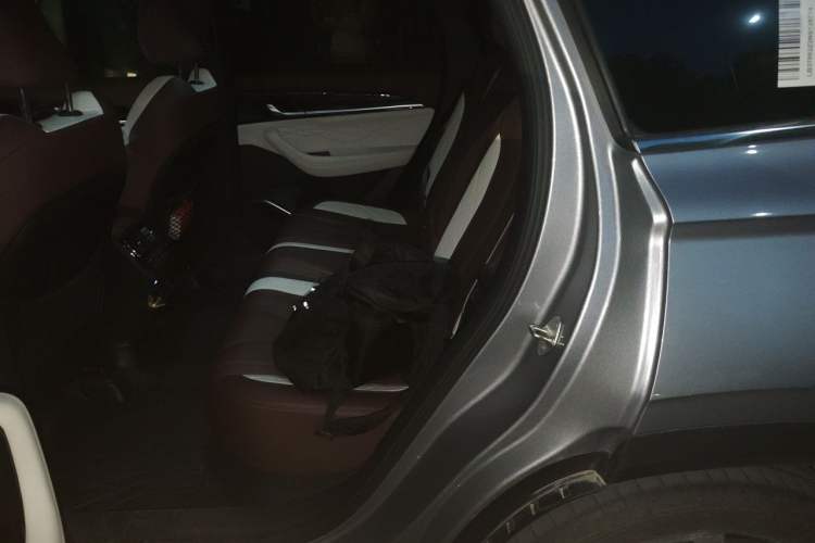 Used Geely Auto Monjaro L 2021 2.0TD DCT EVO Two-Wheel Drive Smart Luxury Version Left Rear Seat